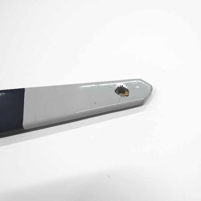 【イサベイ】油絵筆 60号 No.6420 長柄平刷毛 豚毛