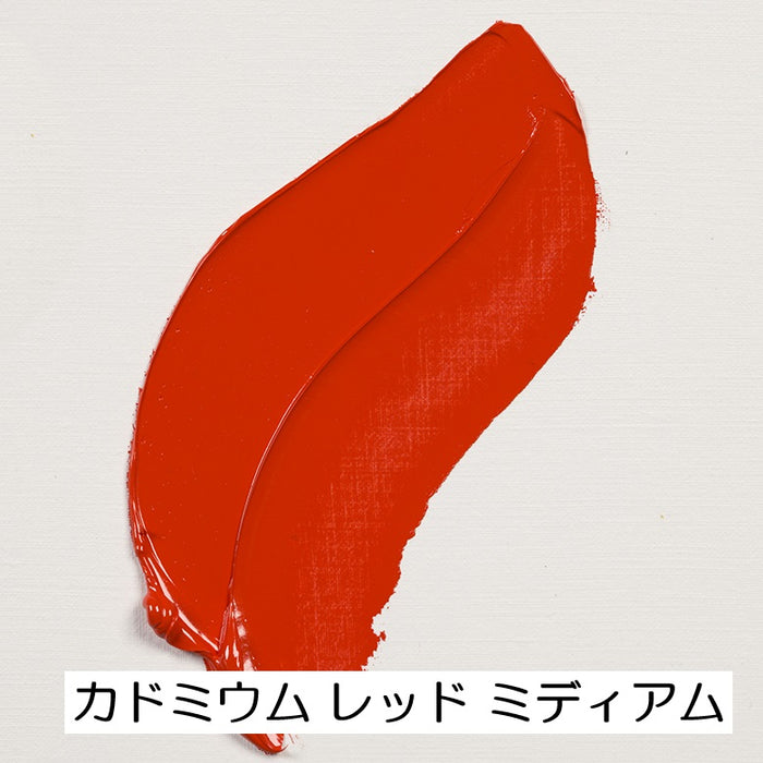 【レンブラント】油絵具 5号 15ml 赤系 紫系