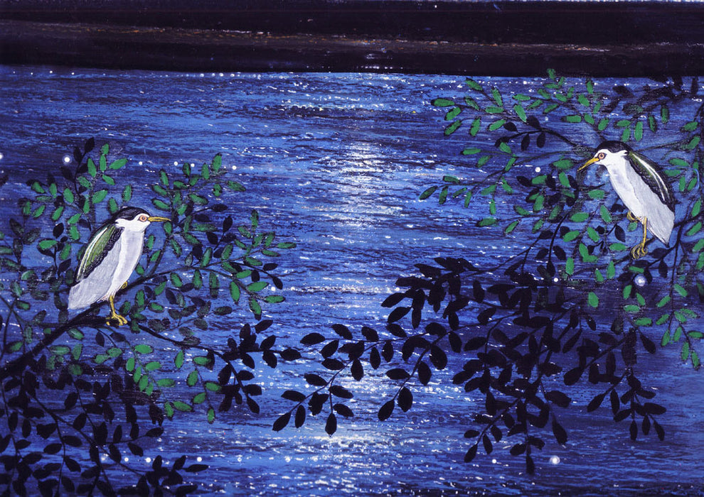 night heron